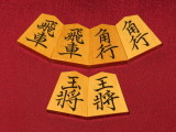 法雲作菱湖御蔵島黄楊古木斑入上柾目彫埋将棋駒/新品 桐平箱付(KS1348)